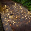 Go2garden Solar Lights Outdoor Decorative Stake Lights Waterproof with Moon
