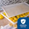 Contenedor de almacenamiento de polietileno para alimentos