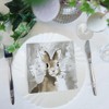 20 Napkins Easter Bunny, Rabbit Animal Bunny, 33 x 33