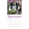 Carousel Calendars, Rabbits 2025 Wall Calendar