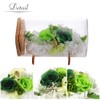Teat Sight Preserved Flower Flower Bottle Gift Box Soleil (Rose,