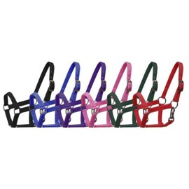Miniature Mini horse NYLON HALTER - Color: Purple