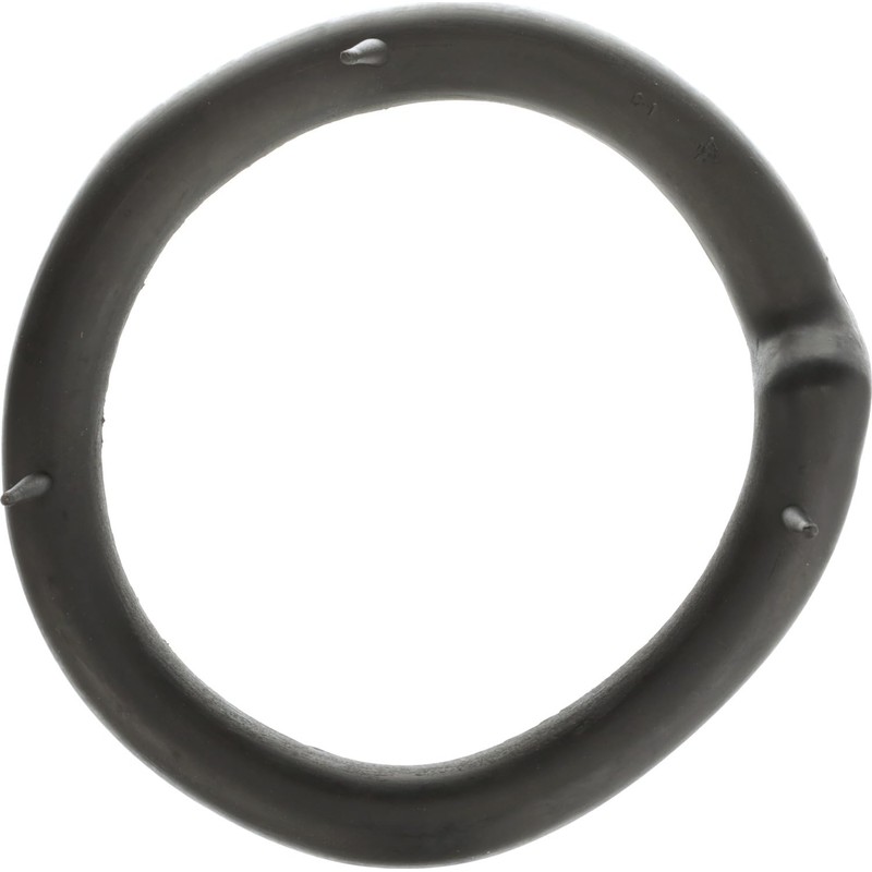 Delphi TC8195 Suspension Coil Spring Seat