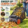 Push Lawn Sweeper for Leaf & Grass Cleanup – 21-Inch