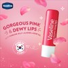 Vaseline Lip Therapy Variety 4-Pack – Rosy Lips + Cocoa