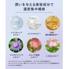 【New Model】 YOLU ヨル Shampoo Refill Calm Night Repair