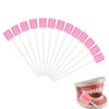 Asheyya 60 Pcs Disposable Mouth Sponges on Stick for Hydration,