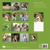 2026 Wall Calendar | 12" x 24" Open | Dog