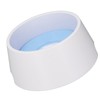 Pet Slow Water Feeder Splash Proof Prevent Slip Raised Water