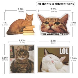 TOCCOOL Stickers Pack, Cute Cats Stickers, Funny Cats Meme Stickers, Workout Cat Stickers, for Laptops, Mobile Phones, Skateboards, Fridge, Luggage (50Pcs)
