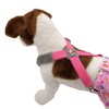 FunnyDogClothes Dog Suspenders for Pet Clothes Apparel Diapers Pants Skirt
