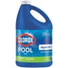 Clorox® Pool&Spa™ Swimming Pool Algaecide and Clarifier, Prevents and Treats