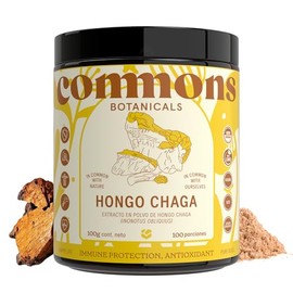 Commons Hongos Adaptógenos Hongo Chaga Extracto Puro Polvo 100 Suplemento Alimenticio Más Meses Suministro Proteína Vegana Orgánico