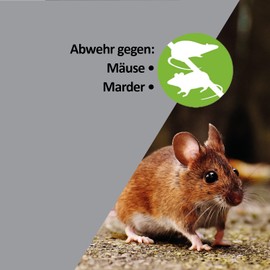 ISOTRONIC Mice & Marten Repeller with Sound Frequencies & Interval Switch Against Habituation Effect - Effective Mice & Marten Deterrent for Cars, Attics, Garages and Much More - Animal Friendly &