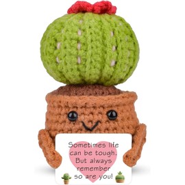 LILELIG Positive Kartoffel, Lustige Positive Geschenke Positive Potato Motivationsgeschenke, Geschenke Pocket Hug Potato Puppen Glücksbringer, Positiv Potato Geschenkidee für Freundin Kleine (Kaktus)