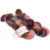 MEILENWEIT Merino 50 Hand-Dyed Set of 2 218 Kullu
