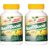 RootBoost Rooting Hormone Powder, 2 oz, Green, 2 Pack