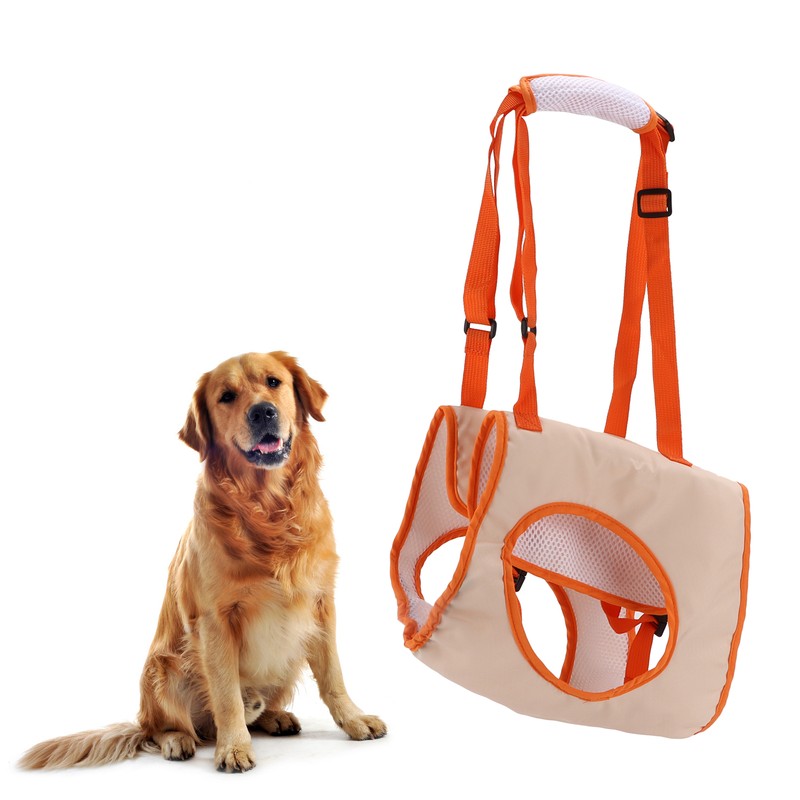 Pet Front Leg Assist Belt Breathable Comfortable Dog Assist Belt