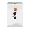 Celestron - 3D Bug Specimen Kit #5 - Observe Insects