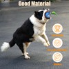 JIMACRO Interactive Pet Toy, Active Rolling with Tail, Intelligent Interactive