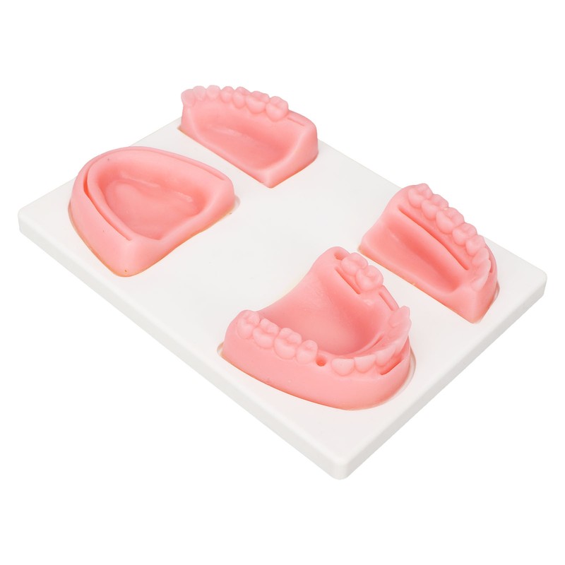 Dental Suture Practice Kit Silicone Model Pliers Tweezers Thread Oral