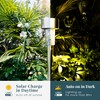 SOLPEX 16 Pack Solar Outdoor Lights Pathway, Stainless Steel Solar