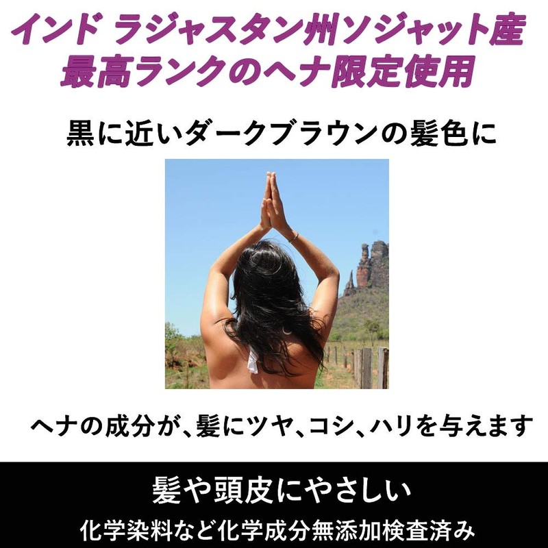 Rajasthani Henna Dark Brown 3.5 oz (100 g)