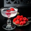10 Pieces Stainless Steel Cocktail Picks Toothpicks 4.3 Inch Sword