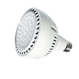 Pool Light Bulb 12V 65W 6500K Daylight White LED Swimming Pool Light Bulb, Replaces up to 200-800W Traditionnal Bulb for Most Pentair Hayward Light Fixtures