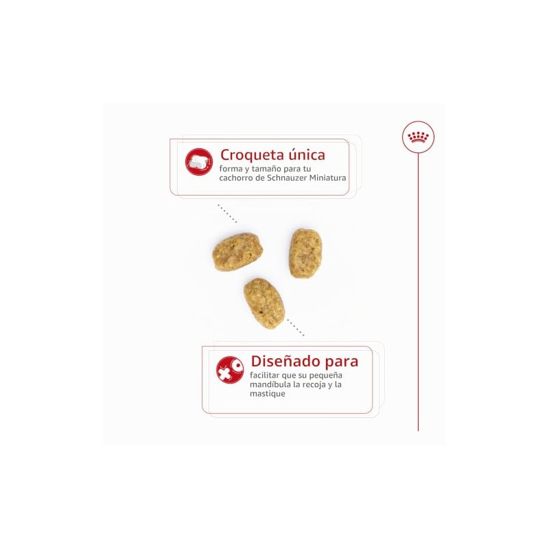 ROYAL CANIN, Puppy - Mini Schnauzer, Croquetas Perro, 1.1kg