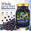 Freeze-Dried Whole Blueberries (6.6 oz / 187g) - Natural Crunchy