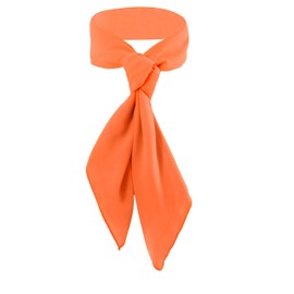 Seawhisper Orange Fred Ascot Bandana Neck Scarf Neckerchief Hankerchief for Women Costume Jones Men Accessories