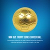 Baden Mini Size Trophy Series Soccer Ball