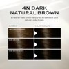 John Frieda Precision Foam Colour, Dark Natural Brown 4N