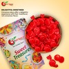NY Spice Shop Cinnamon Sugar Free Candy - 1 Pound