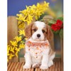 Lionheart glory Flower Dog Scarf, Soft Dog Bandanas, Adjustable Square