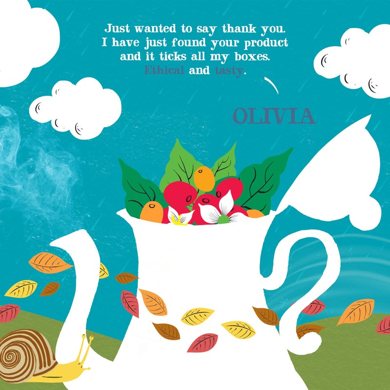 Clipper Coffee: Organic Latin American Instant Coffee – Medium Roast