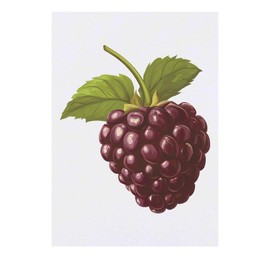 Azeeda 'Einzelne Brombeere' Temporäres Tattoo - Hautfreundlicher & Ungiftiger Abziehbild · Wasserfest (TO00082619)