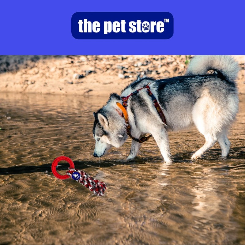 Fetch N Float Dog Toy Chuck & Fetch Rope &