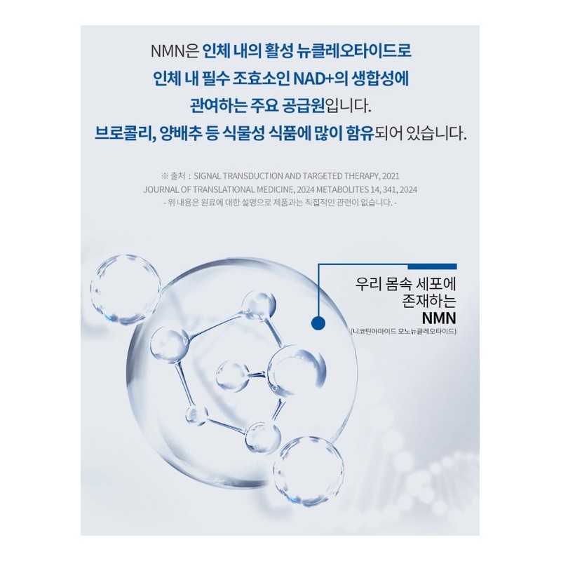 Liposomal NMN efficacy NMN nicotinamide 6 months / 리포좀 NMN