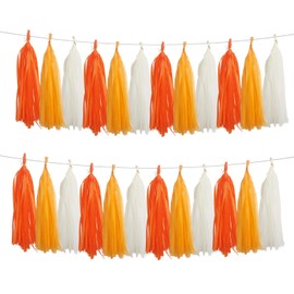 GAKA Orange and White Tissue Paper Tassel(3 Colors),Paper Tassel Garland Banner for Wedding Birthday Party Decor Supplies,15 PC