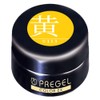 Pregel Gel Nail Color EX, Milky Carrot 300 yelow