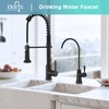 EKRTE Matte Black Drinking Water Faucet for Kitchen Sink, Brass