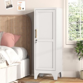 46" H Metal Locker Cabinet, Small Locker with Door and 2 Adjustable Shelf
