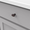 Hickory Hardware 1 Pack Solid Core Kitchen Cabinet Knobs, Luxury