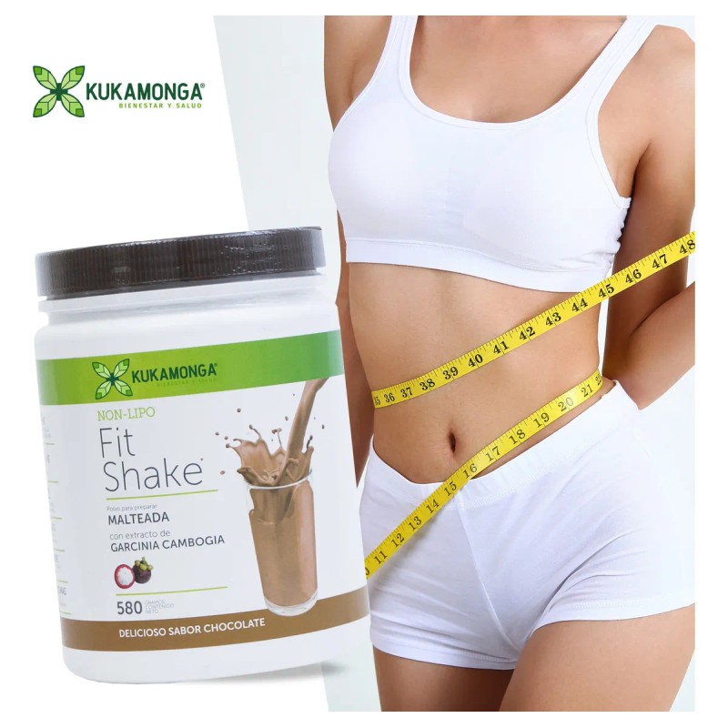 Non Lipo Fit Shake - 580g, Sabor Chocolate Malteada para