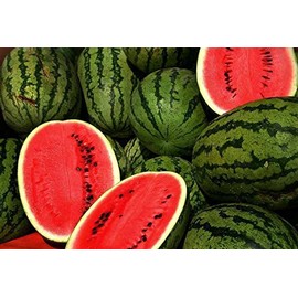 Jubilee Watermelon! 15 Seeds! Comb. s/h! See Our Store! See All Pictures!