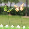 Alipis Butterfly Stakes Colourful Garden Butterflies On Sticks 3D Double