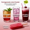 Vegs Pomegranate Juice Powder - Freeze Dried Organic Pomegranate Fruit