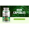 WAY 4 ORGANIC W4O Neem Triple Complex - High-Potency Azadirachta